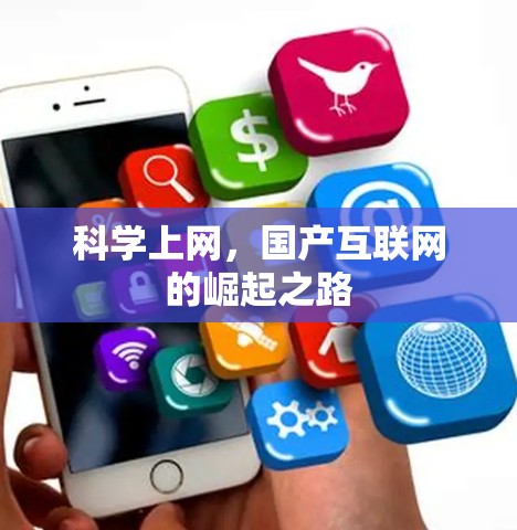 科学上网，国产互联网的崛起之路