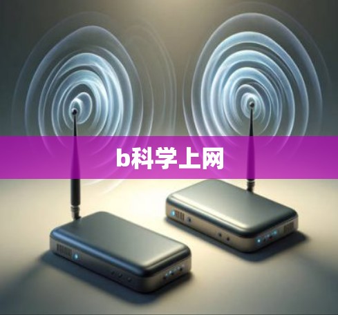 b科学上网