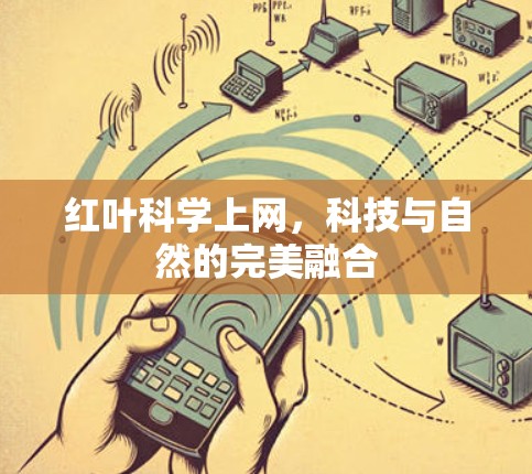 红叶科学上网，科技与自然的完美融合