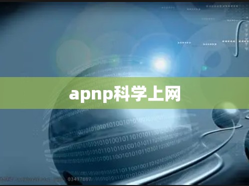 apnp科学上网