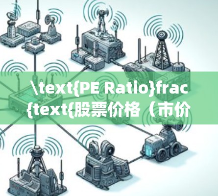 \text{PE Ratio}frac{text{股票价格（市价）text{每股收益（EPS）