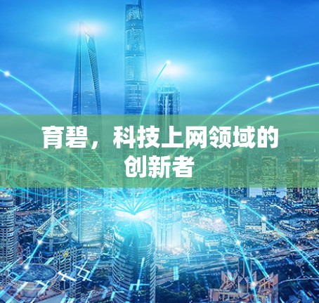 育碧，科技上网领域的创新者