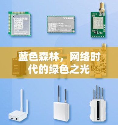 蓝色森林，网络时代的绿色之光