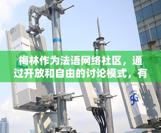 梅林作为法语网络社区，通过开放和自由的讨论模式，有效地提供科学上网资源和讨论。以下是梅林如何科学上网的主要方面