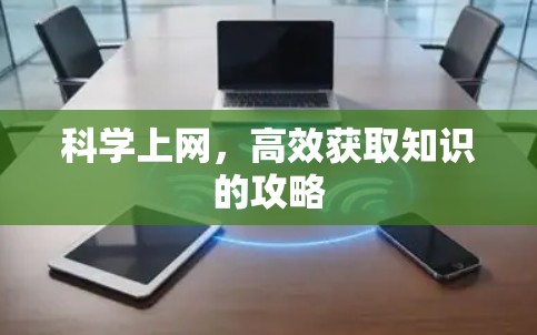 科学上网，高效获取知识的攻略