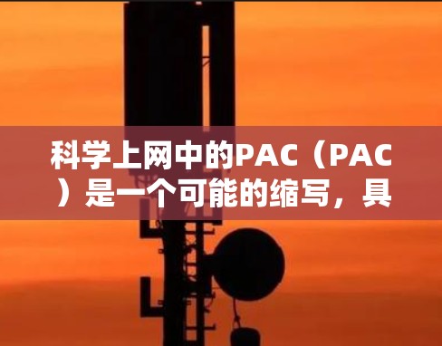 科学上网中的PAC（PAC）是一个可能的缩写，具体含义需要进一步明确。以下是对PAC的可能解释