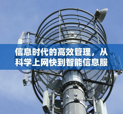 信息时代的高效管理，从科学上网快到智能信息服务