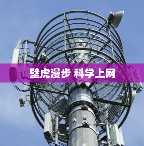 壁虎漫步 科学上网