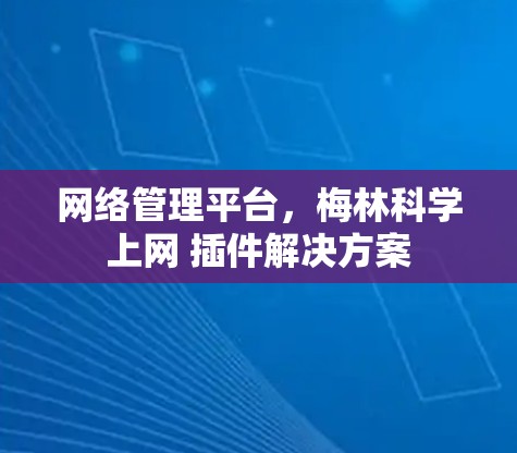 网络管理平台，梅林科学上网 插件解决方案