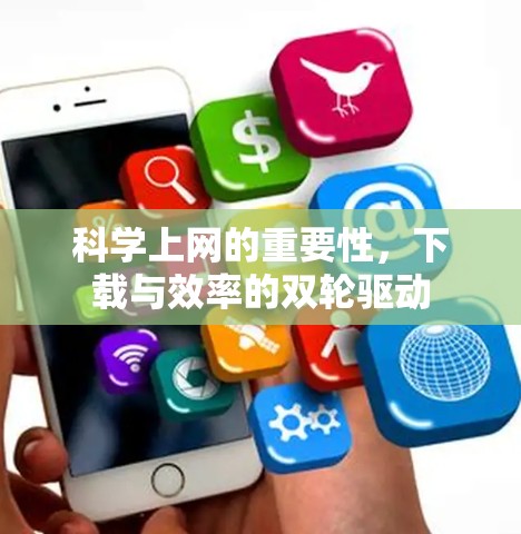 科学上网的重要性，下载与效率的双轮驱动
