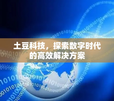 土豆科技，探索数字时代的高效解决方案