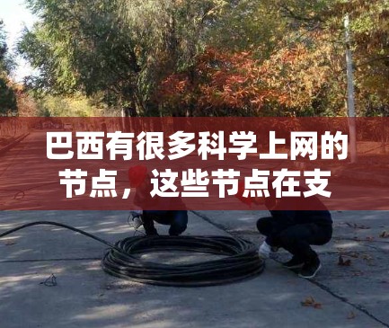 巴西有很多科学上网的节点，这些节点在支持科学研究方面发挥着重要作用。以下是一些巴西相关的科学上网资源和节点