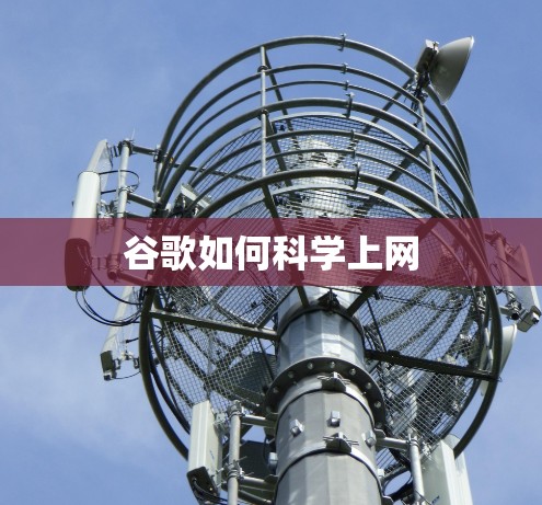 谷歌如何科学上网
