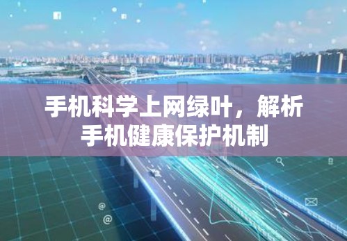 手机科学上网绿叶，解析手机健康保护机制