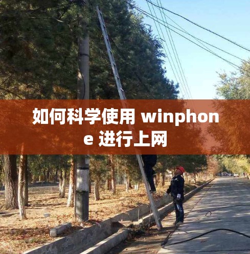 如何科学使用 winphone 进行上网
