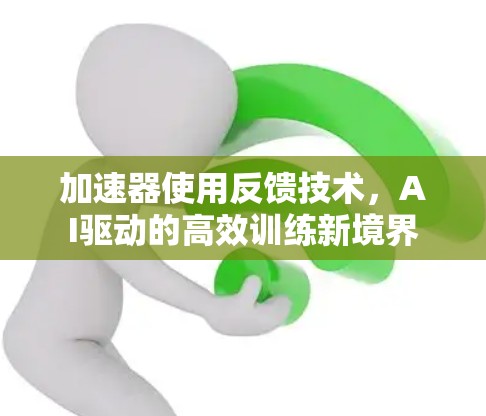 加速器使用反馈技术，AI驱动的高效训练新境界