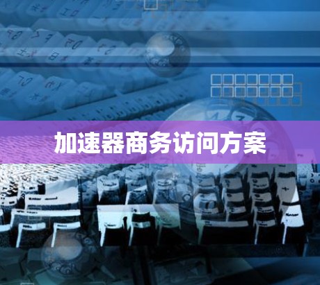 加速器商务访问方案