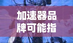 加速器品牌可能指的是汽车加速器的品牌。以下是几款在市场中表现不错的加速器品牌