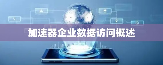 加速器企业数据访问概述