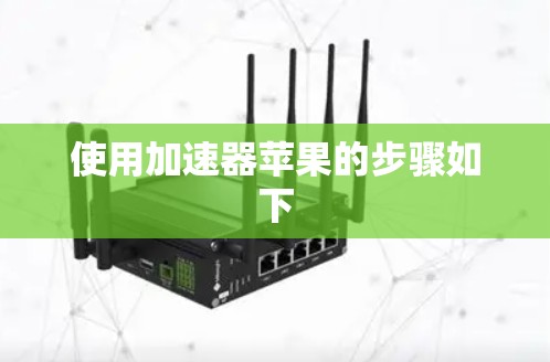 使用加速器苹果的步骤如下