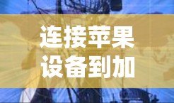 连接苹果设备到加速器的步骤如下