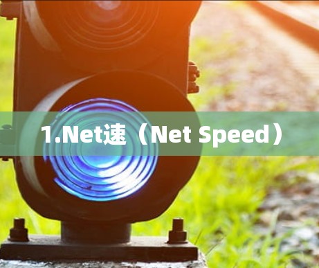 1.Net速（Net Speed）
