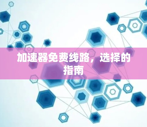 加速器免费线路，选择的指南