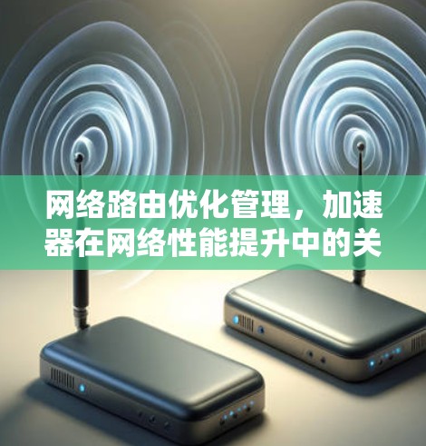 网络路由优化管理，加速器在网络性能提升中的关键作用