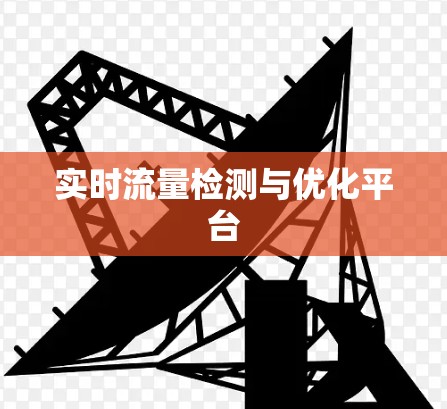 实时流量检测与优化平台