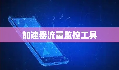 加速器流量监控工具