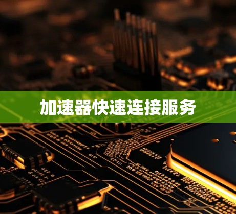 加速器快速连接服务