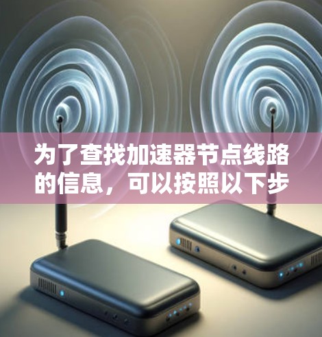 为了查找加速器节点线路的信息，可以按照以下步骤进行