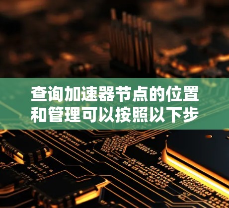 查询加速器节点的位置和管理可以按照以下步骤进行