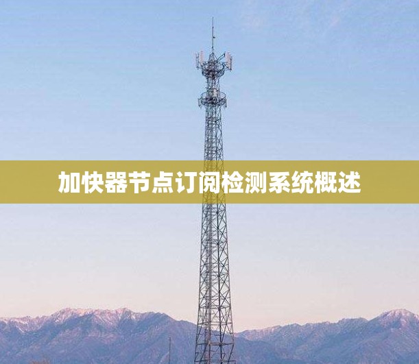加快器节点订阅检测系统概述