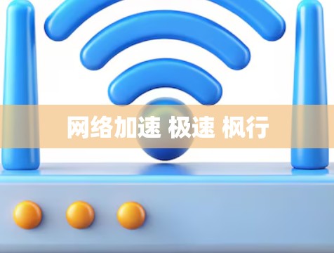 网络加速 极速 枫行