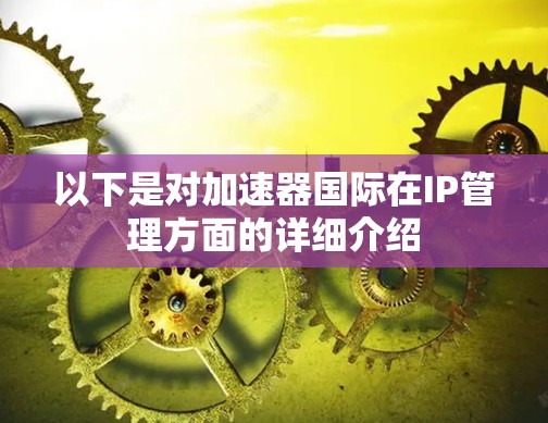 以下是对加速器国际在IP管理方面的详细介绍