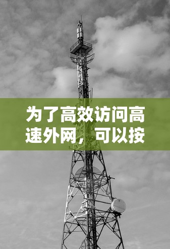 为了高效访问高速外网，可以按照以下步骤操作