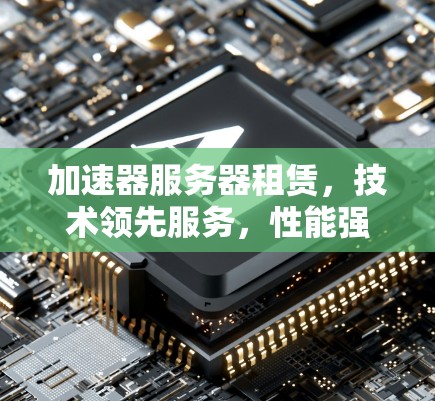 加速器服务器租赁，技术领先服务，性能强劲保障