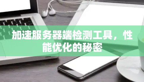 加速服务器端检测工具，性能优化的秘密