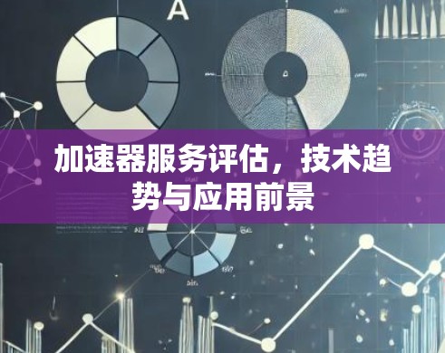 加速器服务评估，技术趋势与应用前景