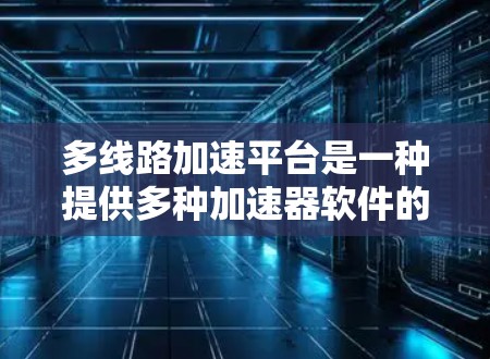 多线路加速平台是一种提供多种加速器软件的平台，用户可以根据自己的需求选择最适合的加速器进行下载和加速，从而提升下载速度和体验。以下是对多线路加速平台的详细分析和总结