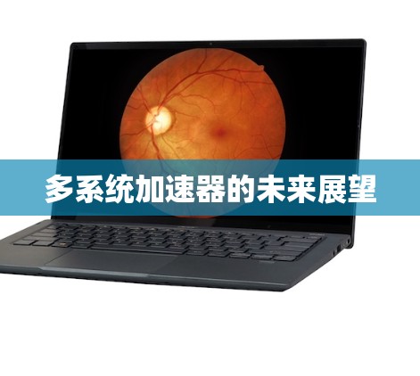 多系统加速器的未来展望