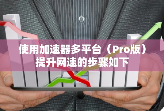 使用加速器多平台（Pro版）提升网速的步骤如下