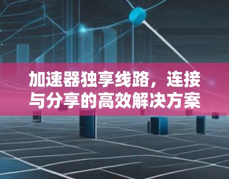 加速器独享线路，连接与分享的高效解决方案