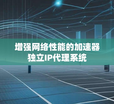 增强网络性能的加速器独立IP代理系统