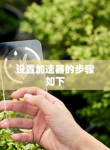 设置加速器的步骤如下