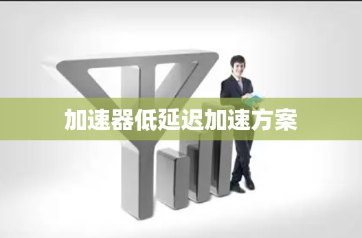 加速器低延迟加速方案