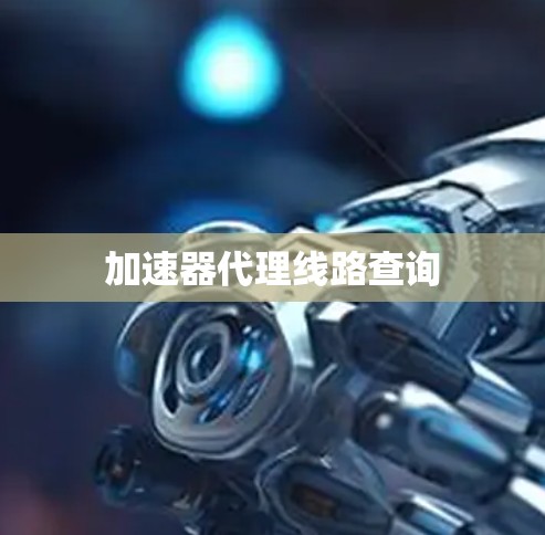 加速器代理线路查询