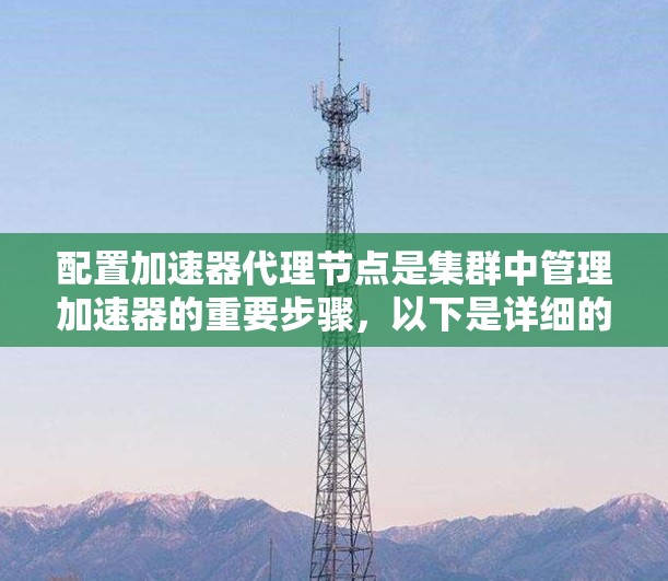 配置加速器代理节点是集群中管理加速器的重要步骤，以下是详细的配置指南