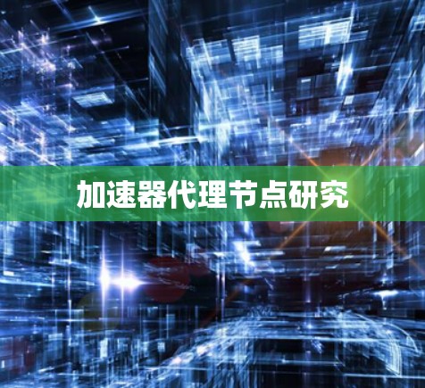 加速器代理节点研究